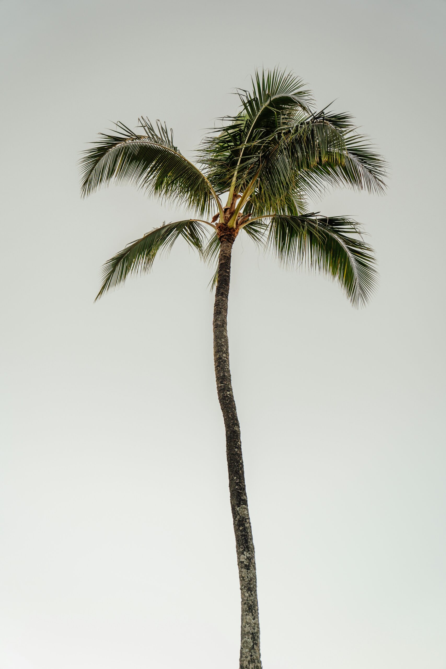 josh-miller-lKdrxnoymxo-unsplash