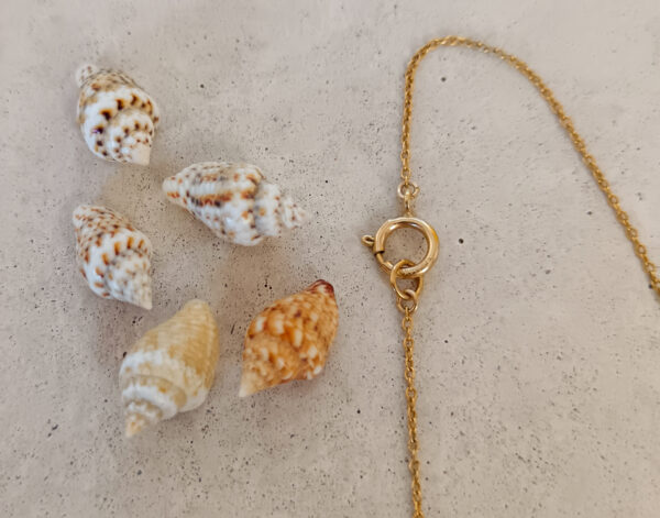 Chaîne coquillage ONA – Image 6
