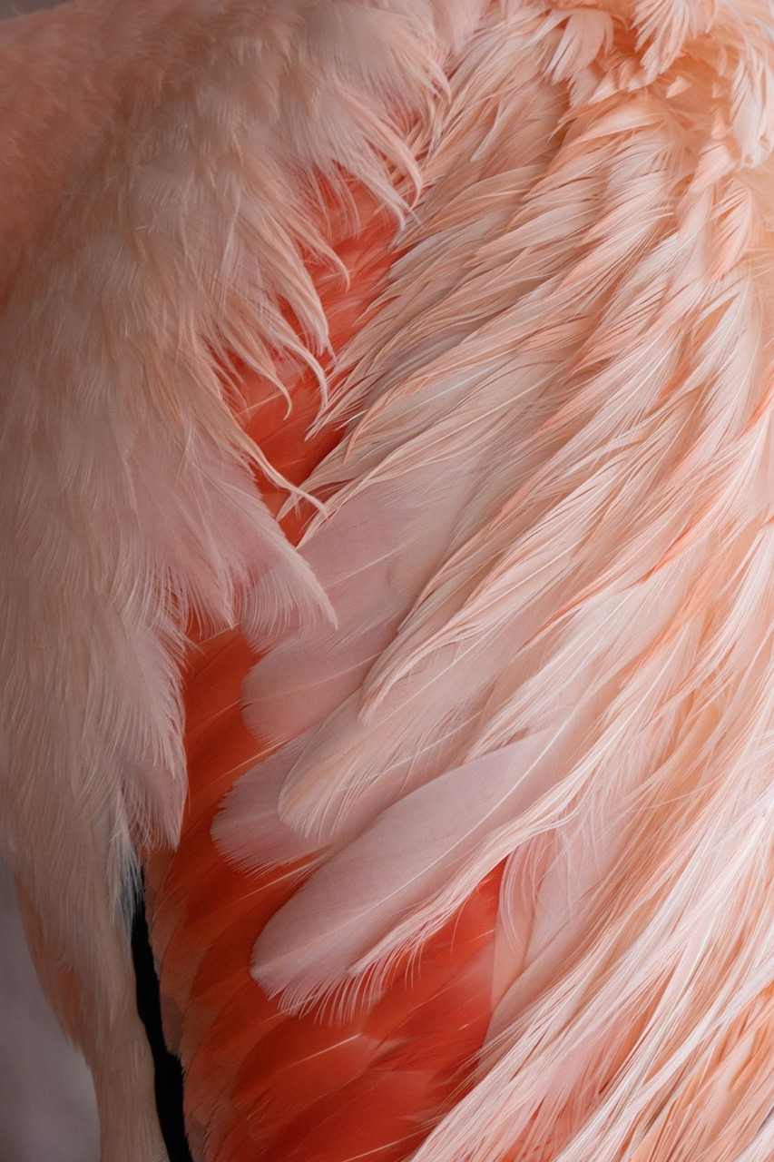 jonny-gios-nO4et7O8OSc-unsplash - Grande